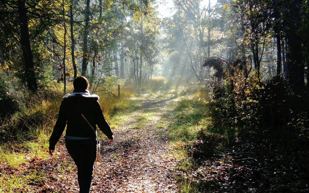 Najaar in Genk: een seizoen vol warmte, natuur en beleving